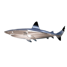 Load image into Gallery viewer, Dotmalls Metal Shark Art