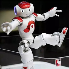 Load image into Gallery viewer, Theorbi LearnioBot