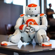 Load image into Gallery viewer, Theorbi LearnioBot