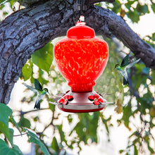 Load image into Gallery viewer, Hand Blown Glass Hummingbird Feeder - 38 Ounces