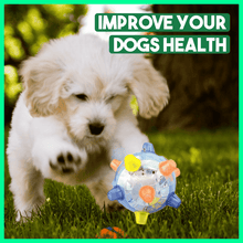 Load image into Gallery viewer, Dotmalls⢠Pet Ball Endless Entertainment for Your Furry Friend!