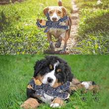 Load image into Gallery viewer, Dotmalls Robust Bear