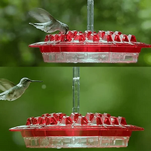 Load image into Gallery viewer, imgainting Sweety Hummingbird Feeder